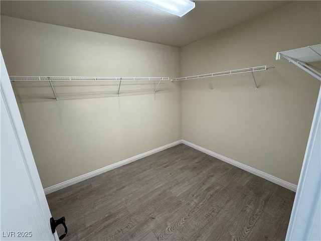 walk in closet with wood finished floors