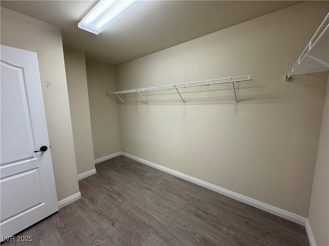 walk in closet with hardwood / wood-style floors