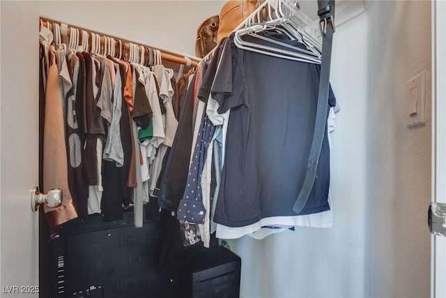 view of spacious closet