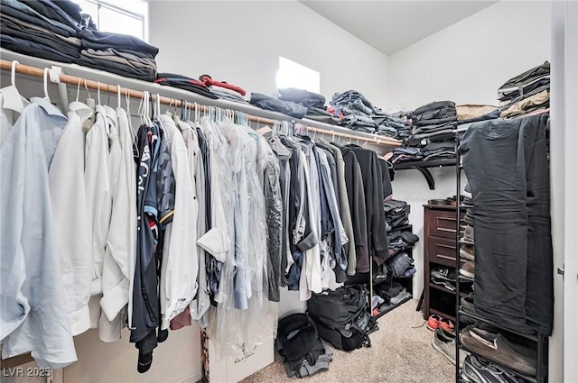 spacious closet with carpet floors