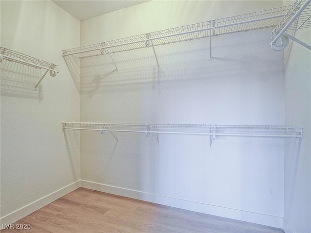 spacious closet featuring light wood finished floors