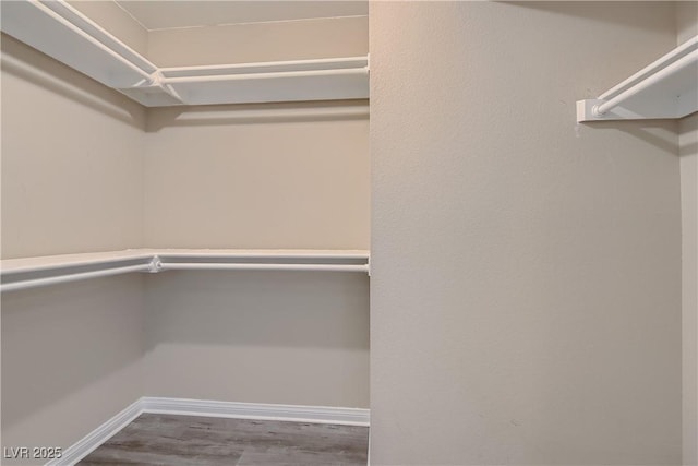 walk in closet featuring hardwood / wood-style floors