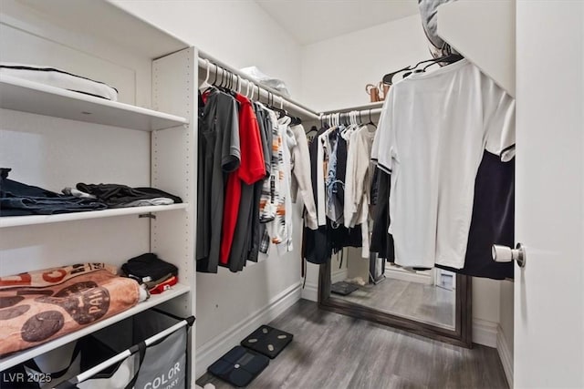 walk in closet with dark wood-type flooring