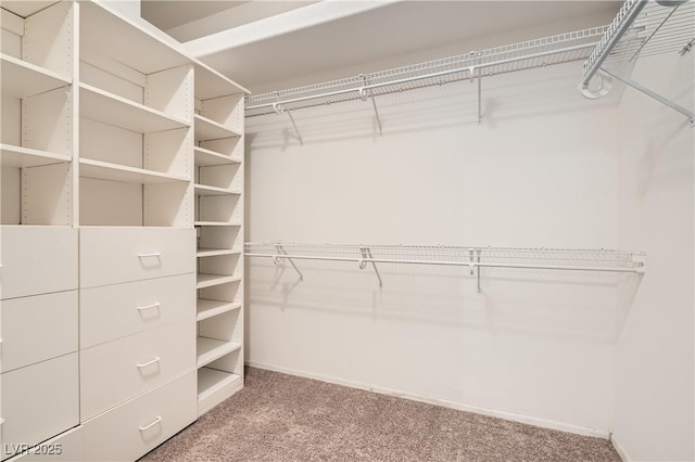 walk in closet with carpet