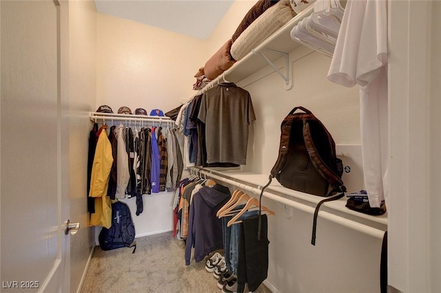 walk in closet with light carpet