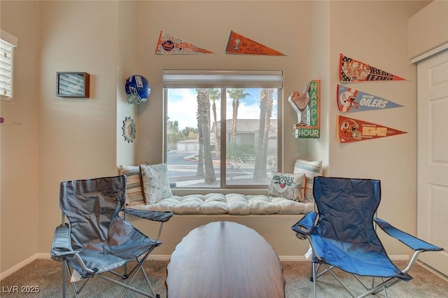 living area featuring carpet flooring