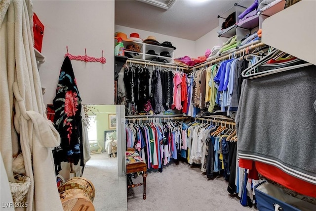 walk in closet with carpet floors