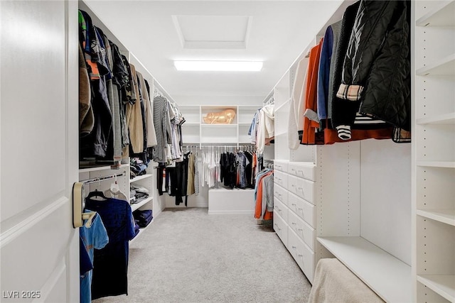 walk in closet with light carpet