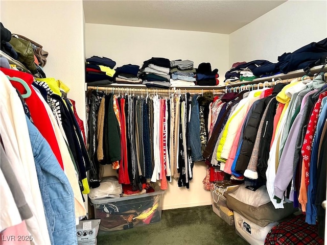 walk in closet with dark colored carpet