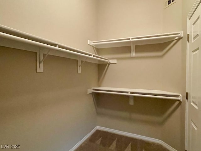 walk in closet featuring carpet floors