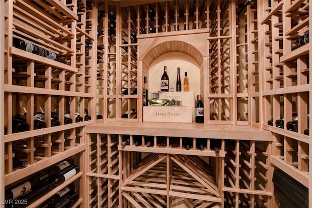 4450 Palisades Canyon Cir, Las Vegas, NV 89129 - view of wine area