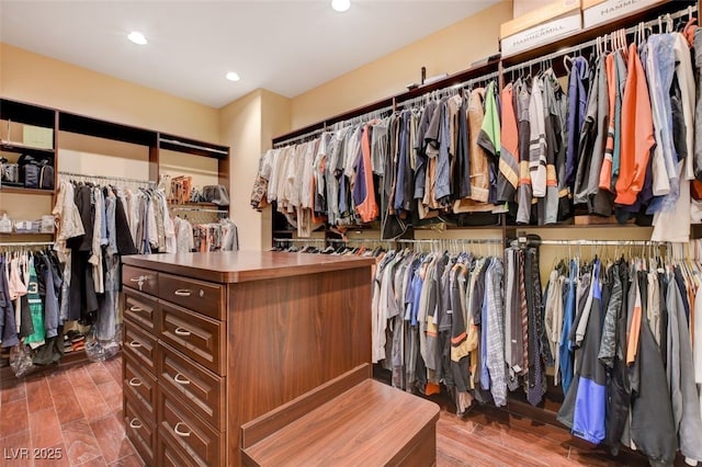 walk in closet featuring wood finished floors