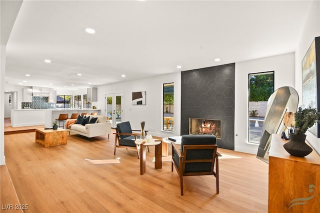 living room featuring plenty of natural light, light hardwood / wood-style floors, and a large fireplace