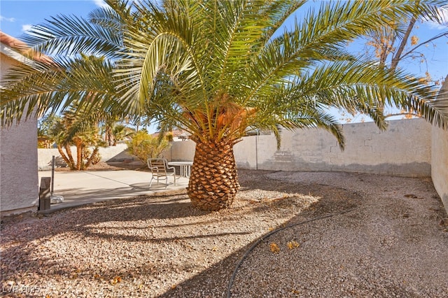 view of yard featuring a patio