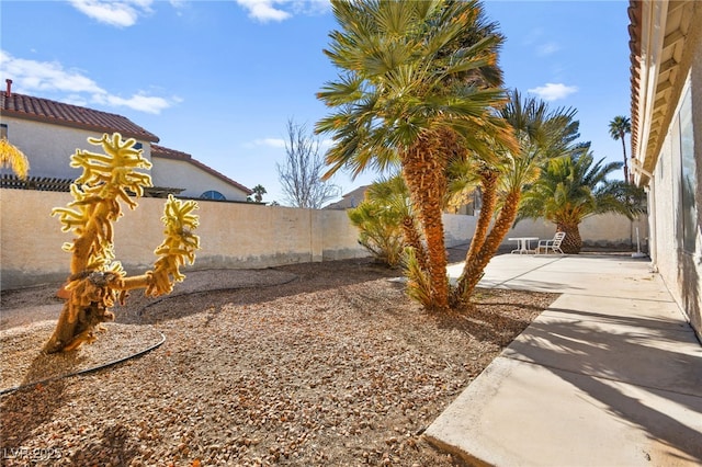 view of yard with a patio area