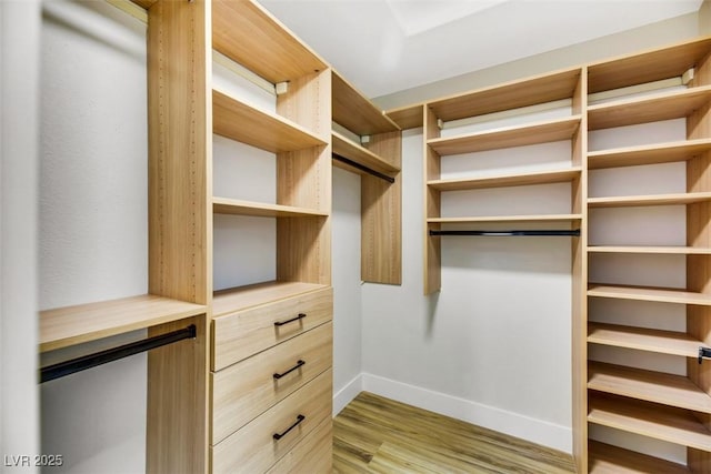 spacious closet with light wood-type flooring