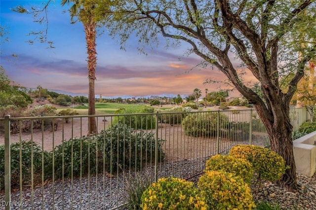 view of yard at dusk