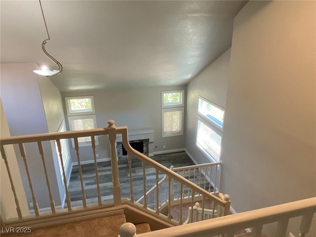 stairs with carpet floors