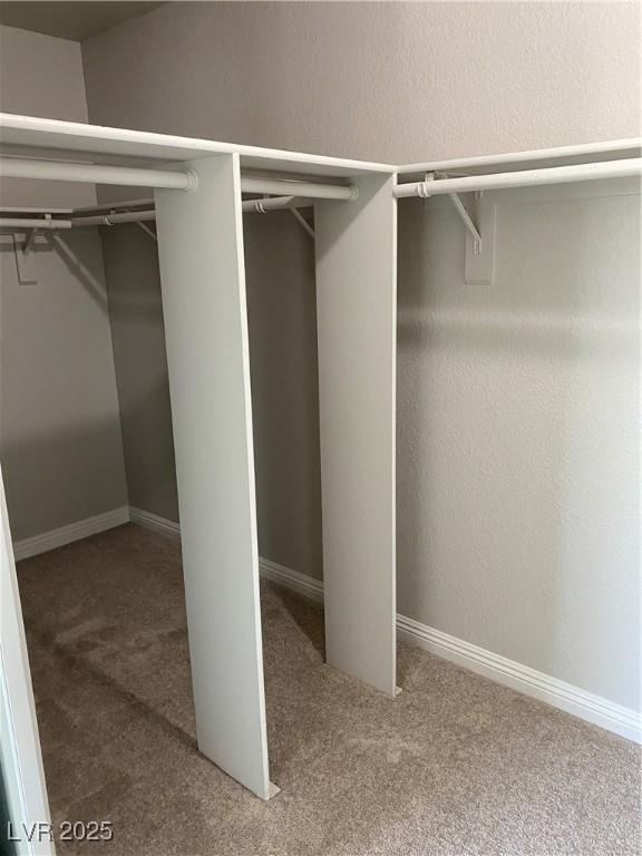 walk in closet featuring carpet flooring