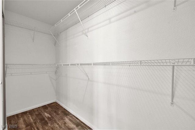 walk in closet with dark hardwood / wood-style floors