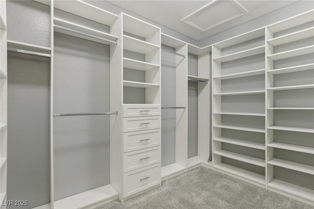 spacious closet with light colored carpet