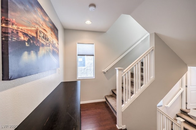 staircase with wood-type flooring