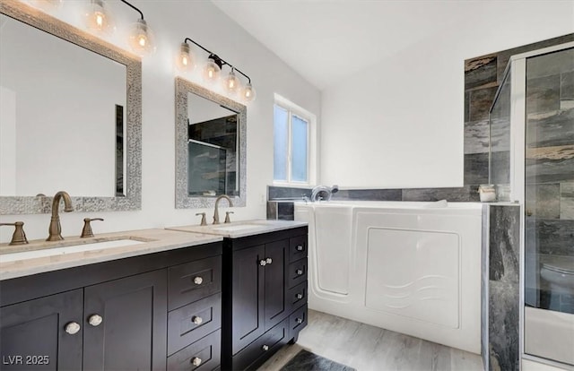 bathroom with a shower with shower door, hardwood / wood-style flooring, and vanity