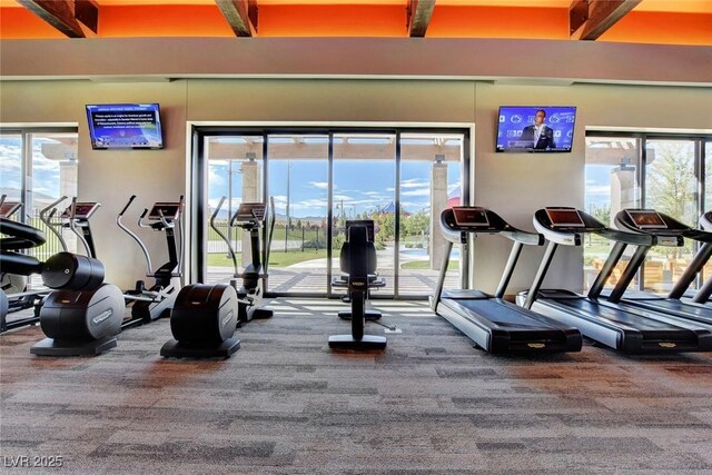 gym featuring carpet floors