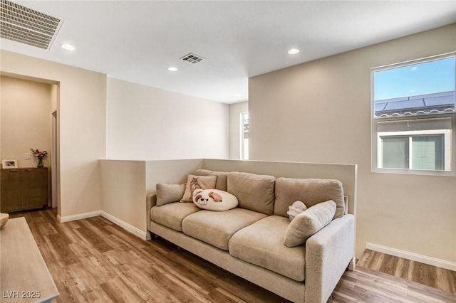 living room with wood-type flooring