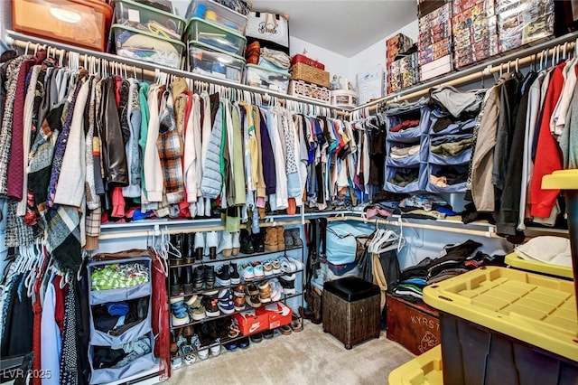 spacious closet with light colored carpet