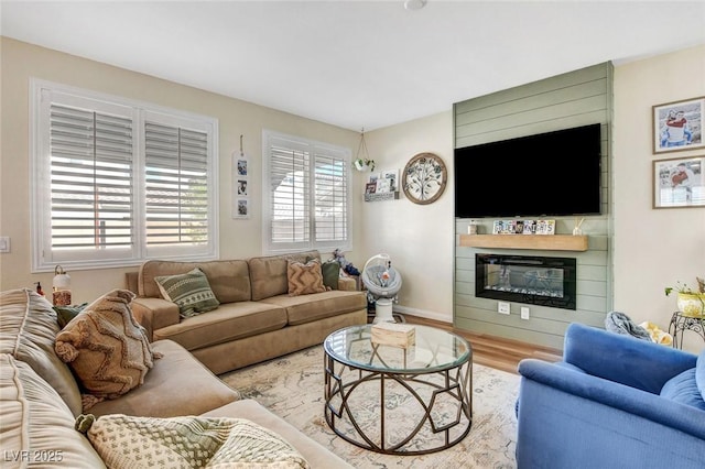 living room featuring a fireplace and wood-type flooring