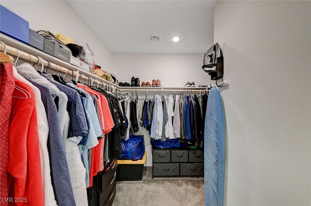 spacious closet featuring carpet floors