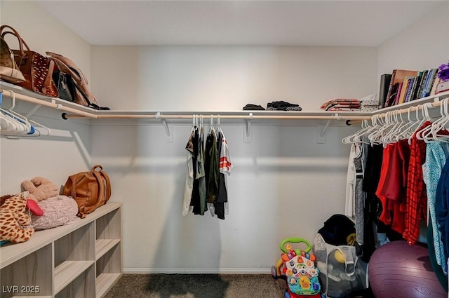 walk in closet featuring carpet