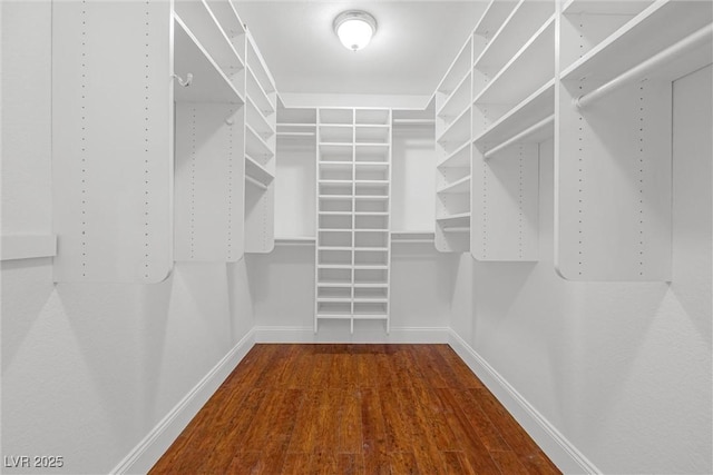 walk in closet featuring wood-type flooring