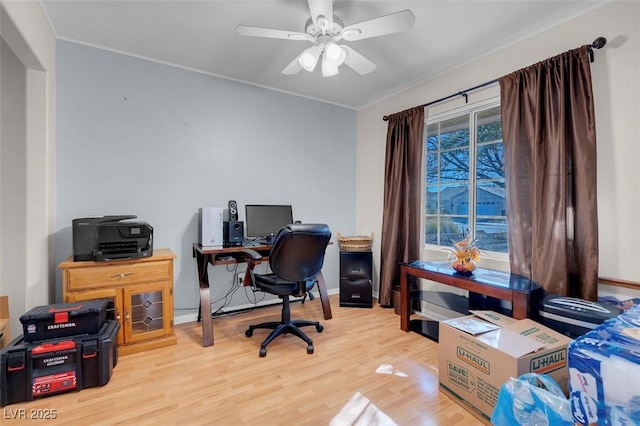 office space with ceiling fan and light hardwood / wood-style flooring