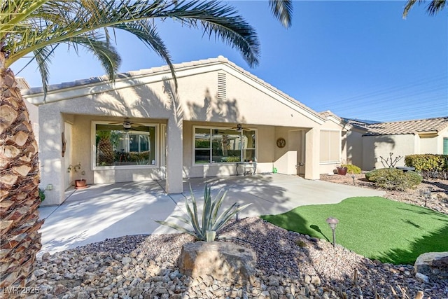 back of house with a patio and ceiling fan