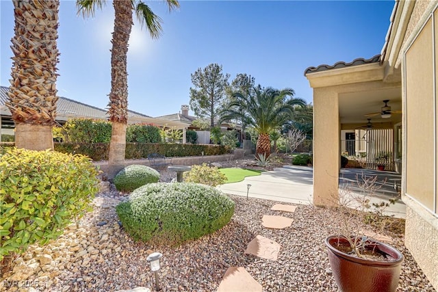 view of yard with ceiling fan and a patio