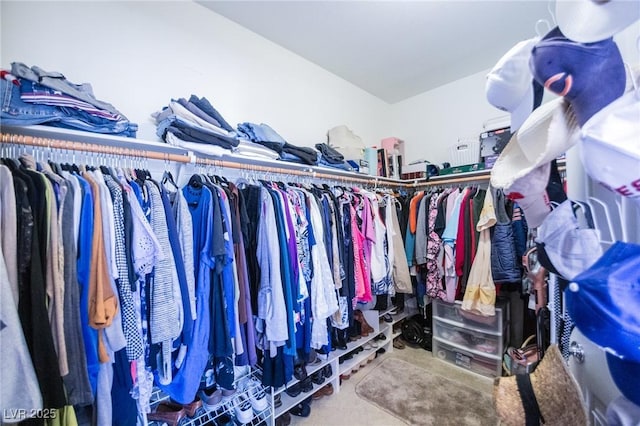 walk in closet with carpet flooring