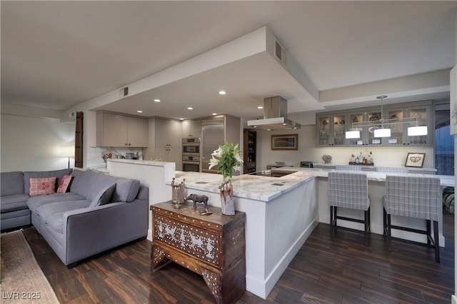 living room with dark hardwood / wood-style floors