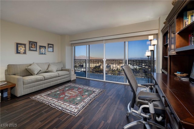 living room with dark hardwood / wood-style floors