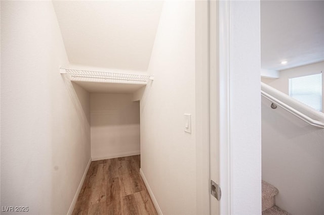 walk in closet with hardwood / wood-style flooring