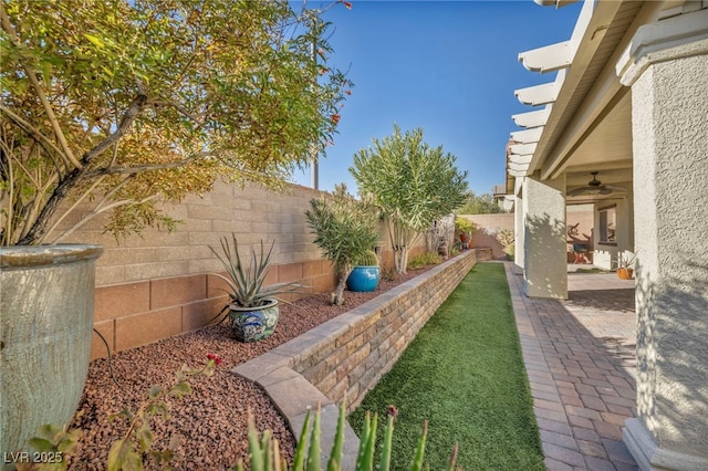 view of yard featuring ceiling fan and a patio area