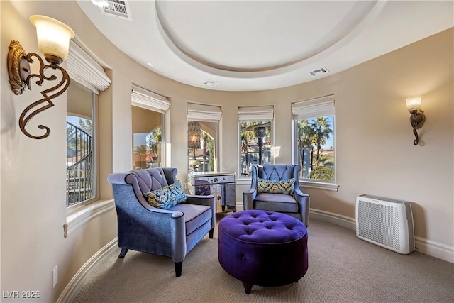 sitting room featuring carpet flooring and a raised ceiling