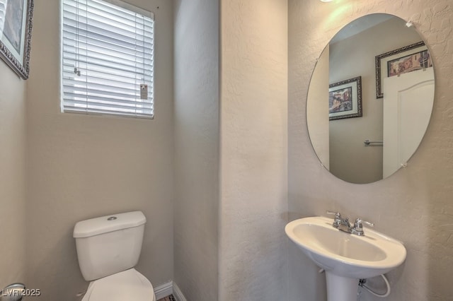 bathroom featuring sink, toilet, and a healthy amount of sunlight