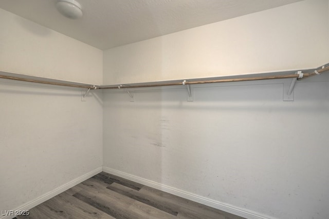 spacious closet featuring dark hardwood / wood-style floors