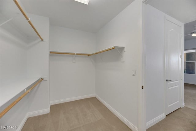 walk in closet with light carpet