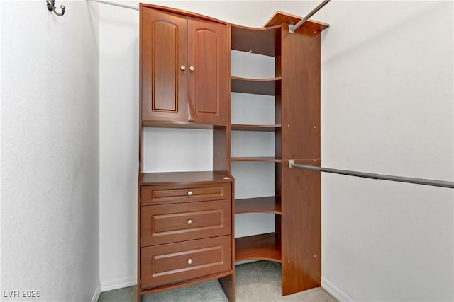 walk in closet featuring light colored carpet