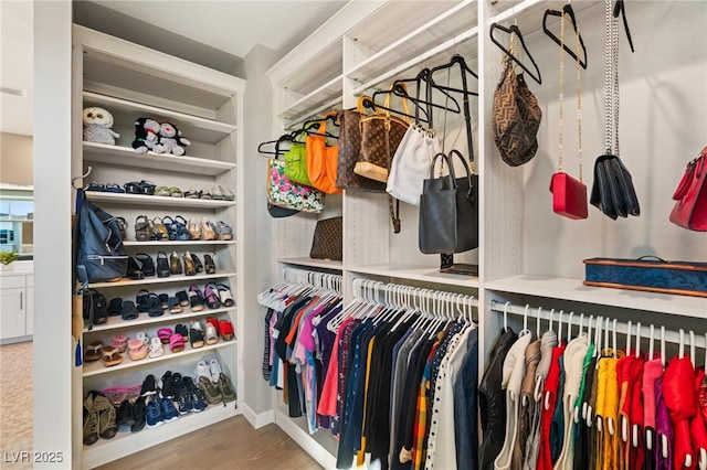 spacious closet with hardwood / wood-style flooring