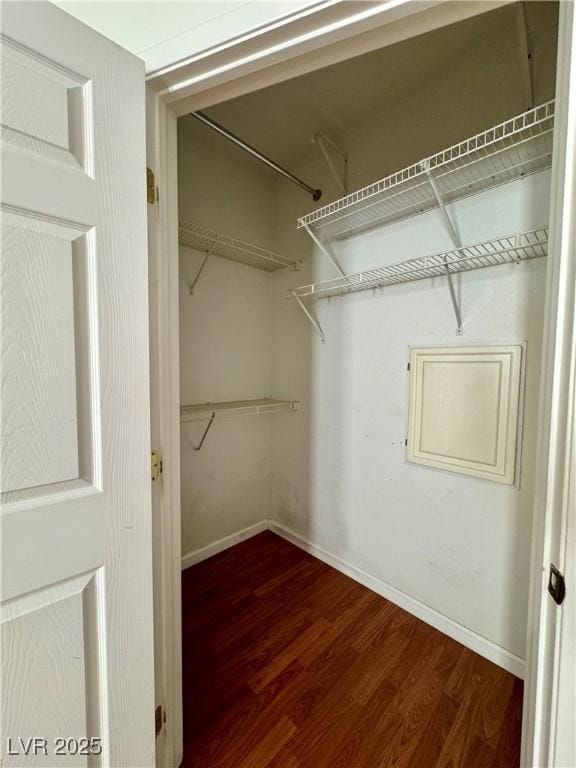 walk in closet featuring hardwood / wood-style floors