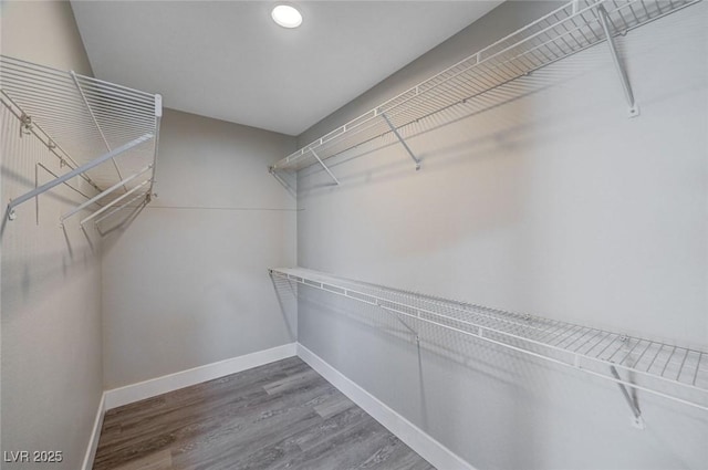 spacious closet with wood finished floors